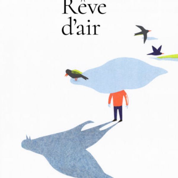 Rêve d'air, compagnie La Tortue