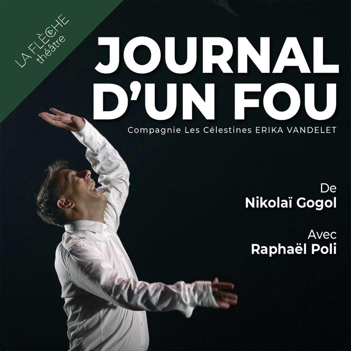 JOURNAL D’UN FOU