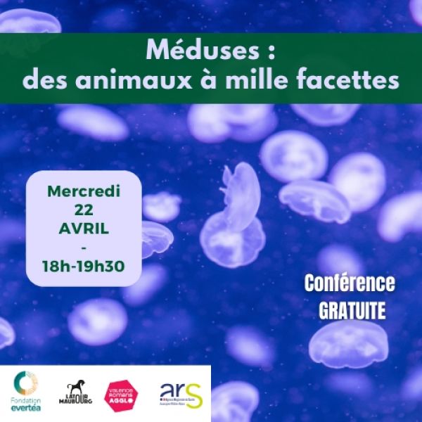 Conférence - Méduses : des animaux à mille facettes