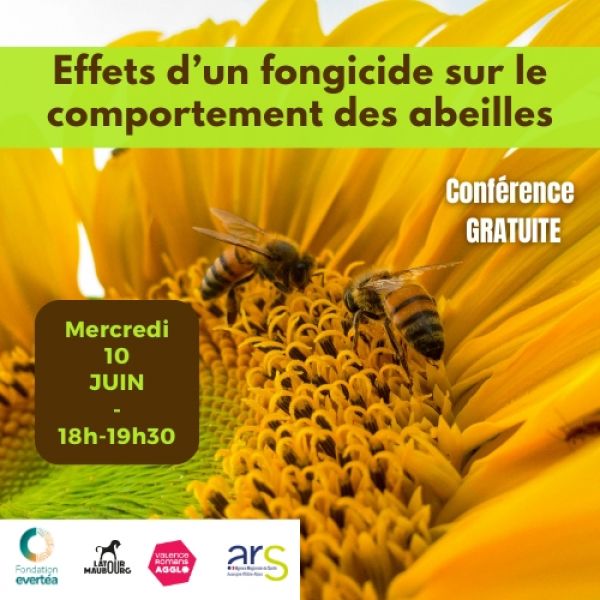 Conférence - Effets d’un fongicide sur le comportement des abeilles
