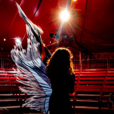 Romanès Cirque Tsigane : Folies Nomades