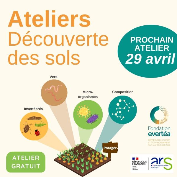 Atelier découverte des sols