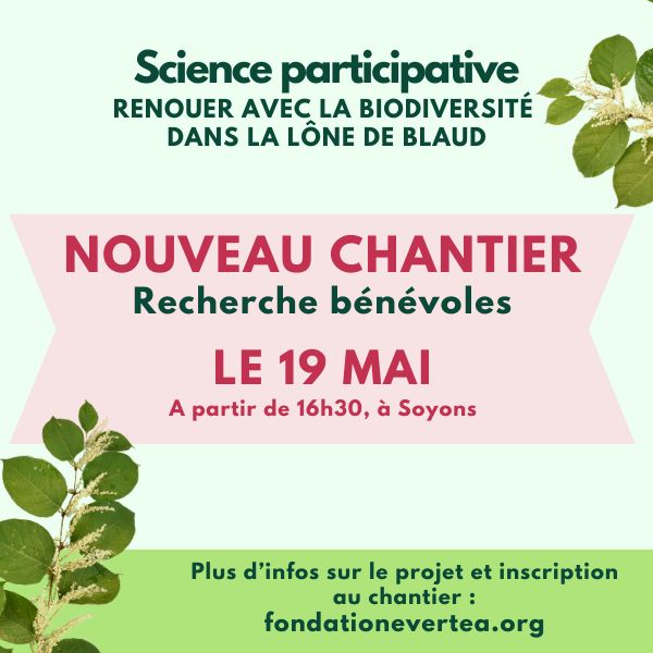 Chantier - Projet participatif "Renouer avec la Biodiversité"