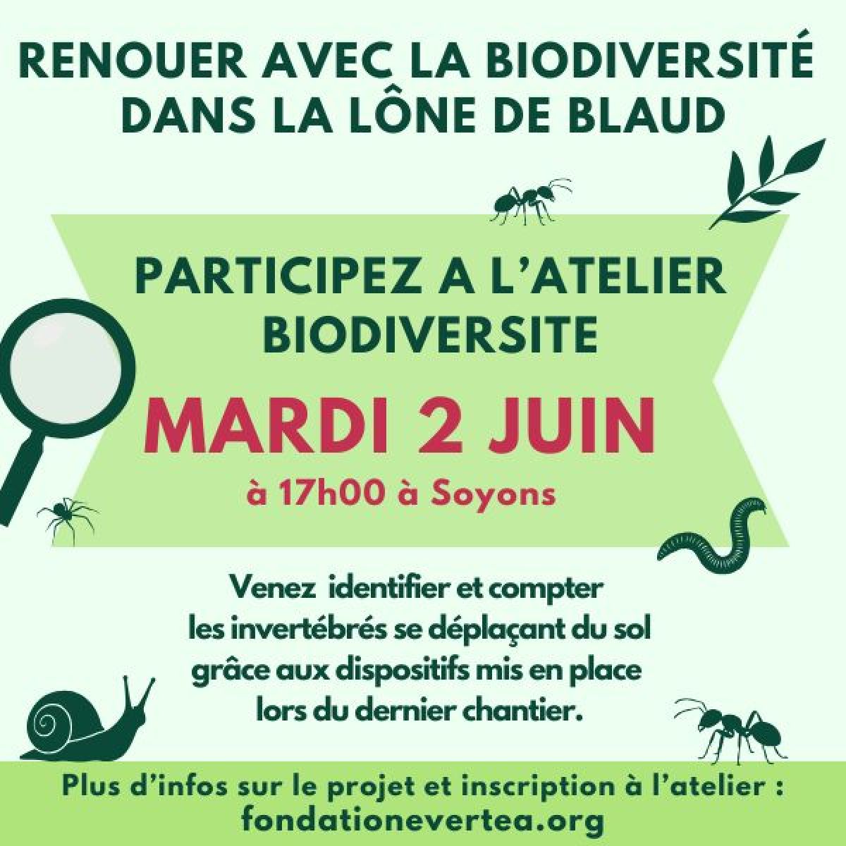 Atelier étude de la biodiversité - Projet participatif "Renouer avec la Biodiversité"