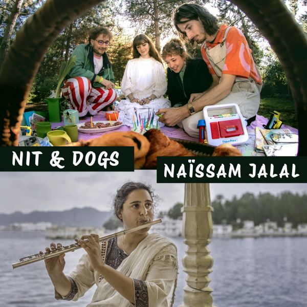 NIT AND DOGS / NAÏSSAM JALAL
