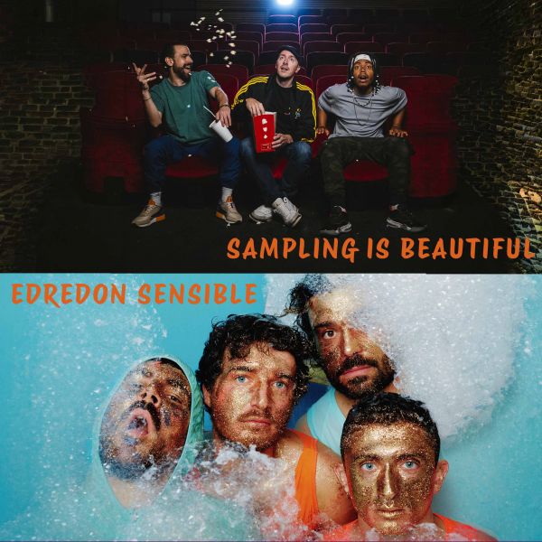 EDREDON SENSIBLE / SAMPLING IS BEAUTIFUL