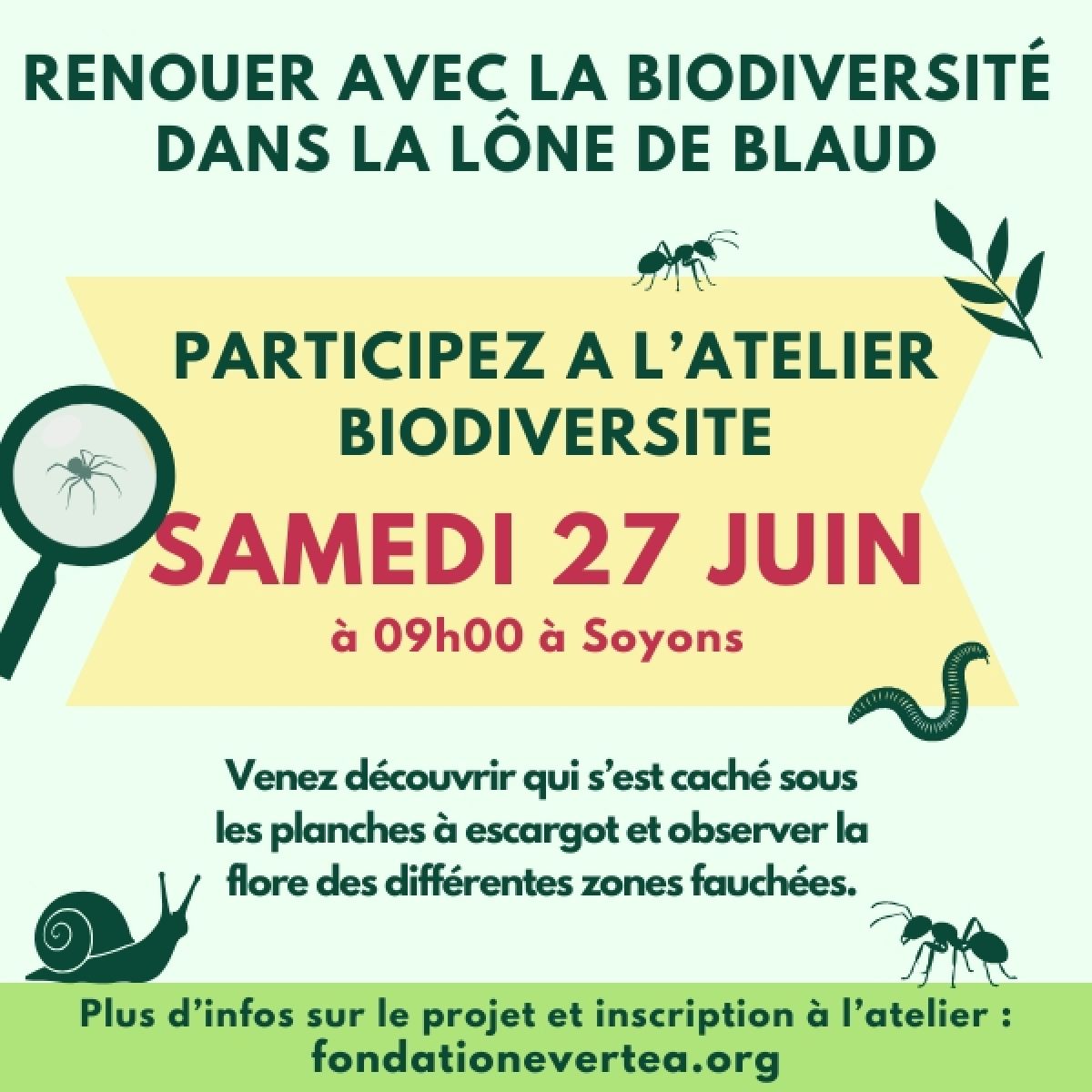 Atelier étude de la biodiversité - Projet participatif "Renouer avec la Biodiversité"