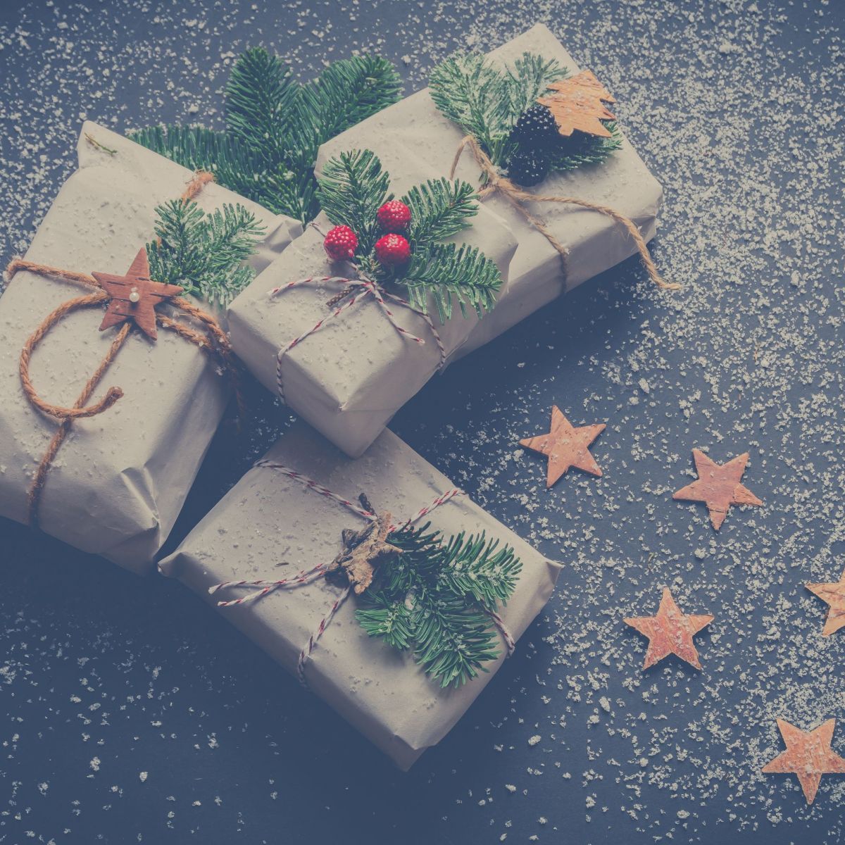 Le NOËL de ZOÉ ET ZOZOTO