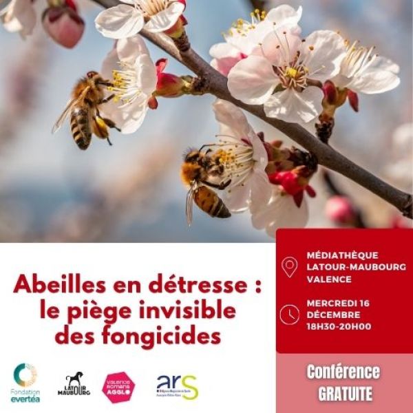Conférence - Abeilles en détresse : le piège invisible des fongicides